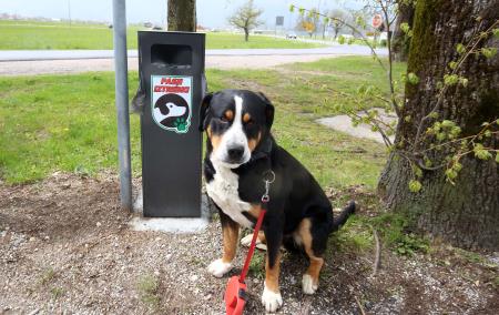 KOŠ ZA PASJE IZTREBKE CERKNICA PRI KAPELICI 00 FOTO LJUBO VUKELIČ (4)